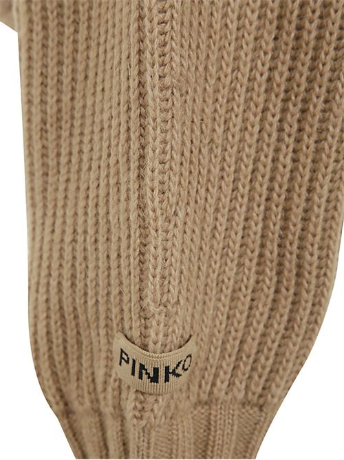  Pinko | 104493-A282.C99